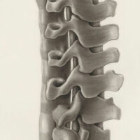 nsplsh_5111cca34d4445bb8418fcda71ab2201-mv2